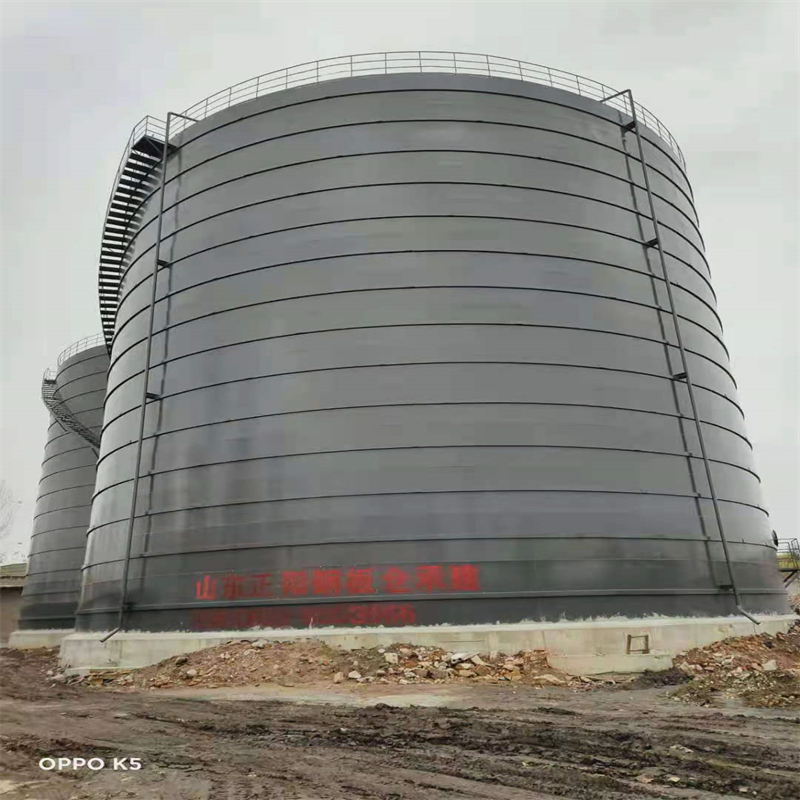 公安3万吨大型钢板库