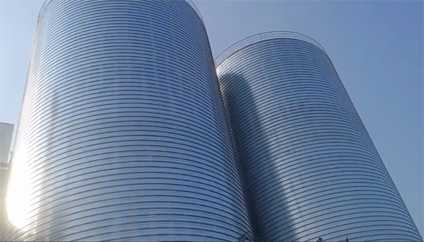 公安2座混凝土高架卷板仓